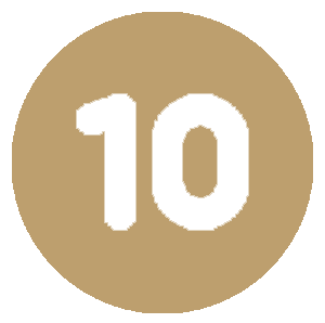 10 icon