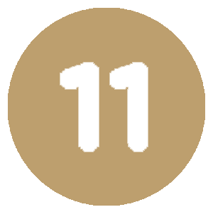 11 icon