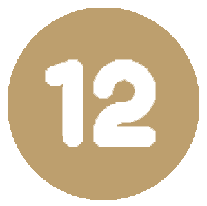 12 icon