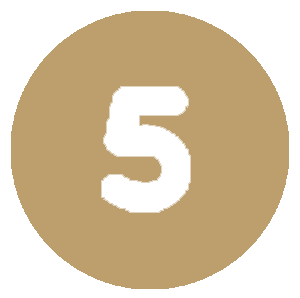 5 icon