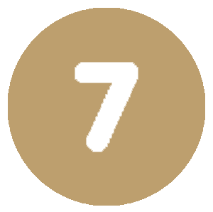 7 icon